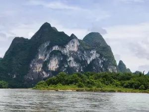 Rosa 07 Bergen van Guilin